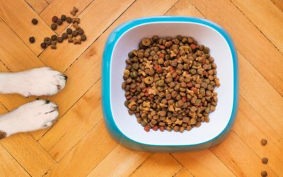 The truth about Kibble