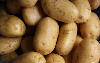 The Potato Story