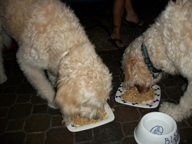 111_op_640x480opt